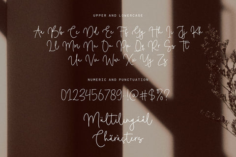 Camelia Boutiue Font Font Balpirick 