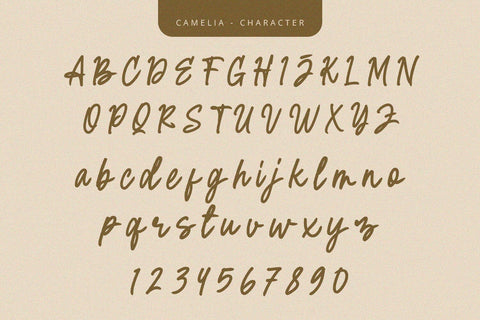 Camelia - Script Font Font Alpaprana Studio 