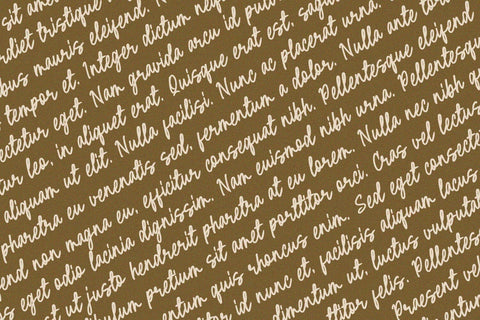 Camelia - Script Font Font Alpaprana Studio 