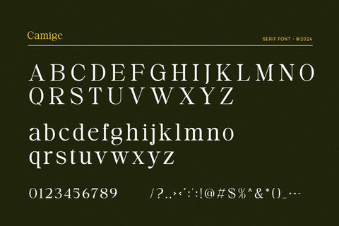 Camige - Classy & Stylish Serif Font studioalmeera 