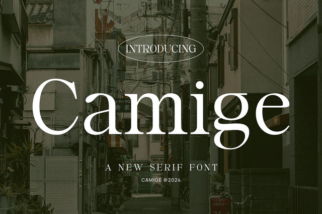 Camige - Classy & Stylish Serif Font studioalmeera 