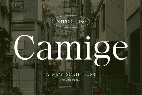 Camige - Classy & Stylish Serif Font studioalmeera 