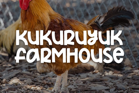 Candy Buddy Font Abo Daniel Studio 