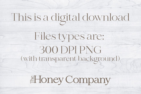 Candy Cane Seamless Pattern | Pastel Christmas Preppy Sublimation The Honey Company 