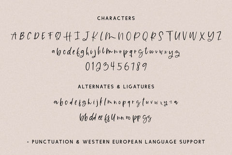 Caramel Creme Script Font Beck McCormick 
