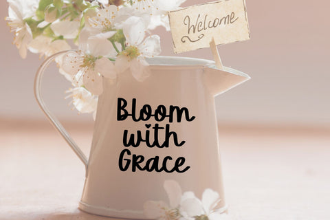 Caramel Pudding Font Cotton White Studio 