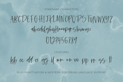 Caravanner Script Font Font Beck McCormick 