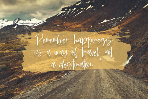Caravanner Script Font Font Beck McCormick 