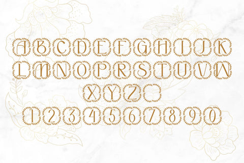 Caravine Monogram Font Font Dm Letter Studio 