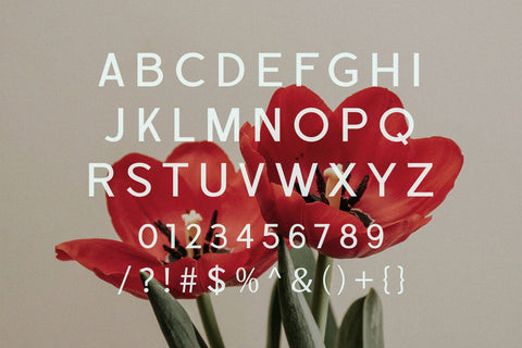 Cardio - Modern Sans Serif Font Font studioalmeera 