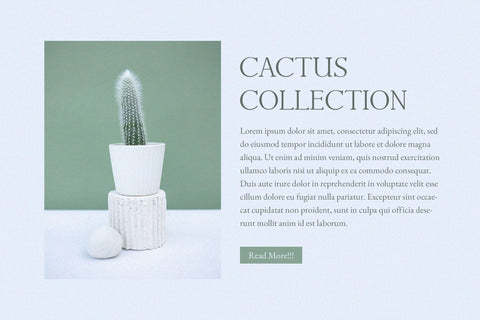 Cardiola - Modern Stylish Serif Font studioalmeera 