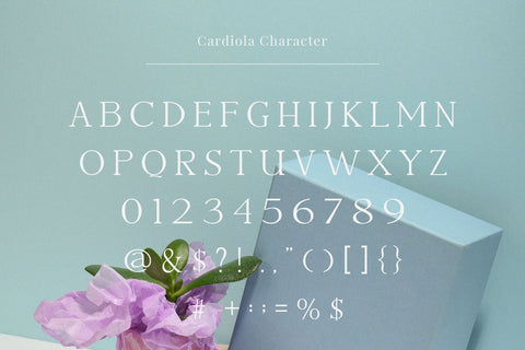 Cardiola - Modern Stylish Serif Font studioalmeera 