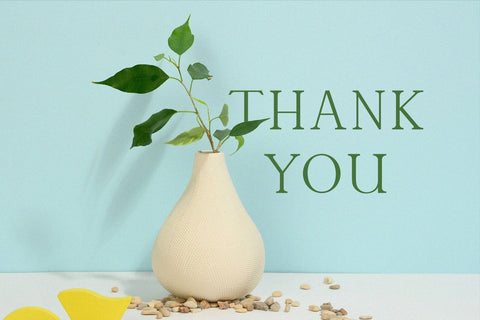 Cardiola - Modern Stylish Serif Font studioalmeera 