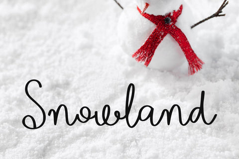 Carrot Rabbit Font Abo Daniel Studio 