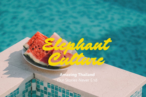 Cartiso – Authentic Handwritten font Font Four Lines Std. 