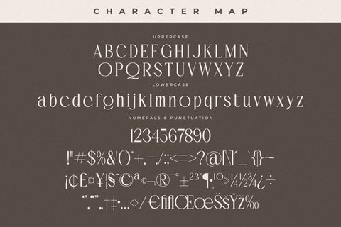 Casftego Typeface Font Storytype Studio 