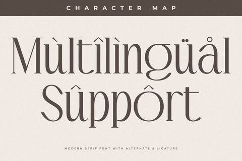 Casftego Typeface Font Storytype Studio 