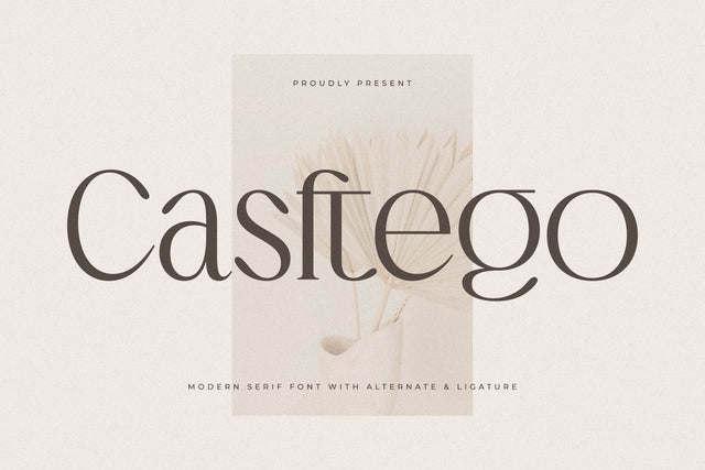 Casftego Typeface Font Storytype Studio 