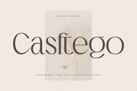 Casftego Typeface Font Storytype Studio 