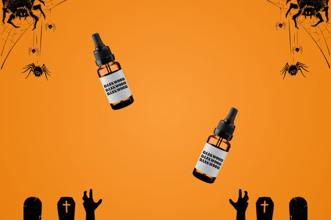 Caskford Halloween Font Dm Letter Studio 