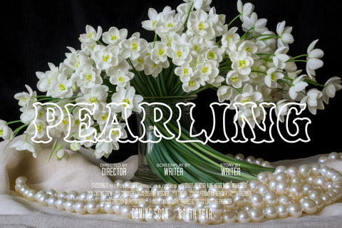 Caskford Hollow Font Dm Letter Studio 