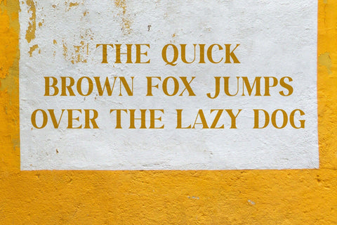 Casley - Modern Serif Font Font studioalmeera 