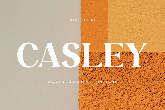 Casley - Modern Serif Font Font studioalmeera 