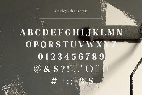 Casley - Modern Serif Font Font studioalmeera 