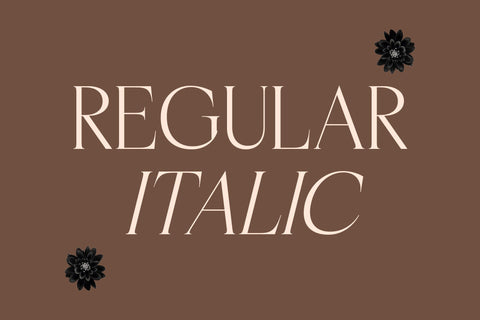 Casselin - Modern Serif Font Font Letterena Studios 