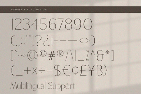 Castelloria - Serif Font Font Alpaprana Studio 