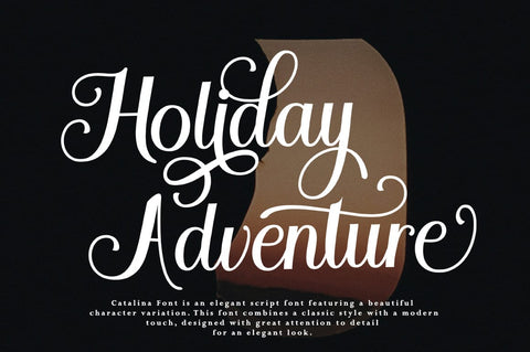 Catalina Calligraphy Font Studio Rhd Store 