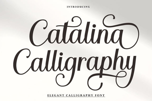 Catalina Calligraphy Font Studio Rhd Store 