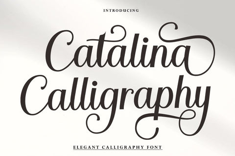 Catalina Calligraphy Font Studio Rhd Store 