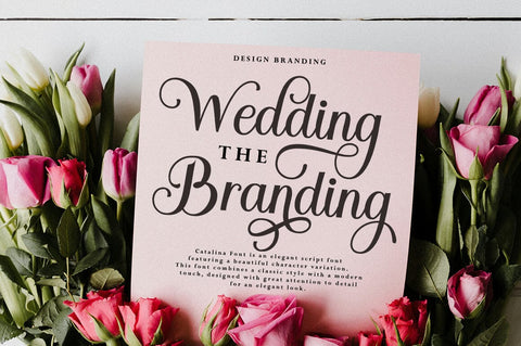 Catalina Calligraphy Font Studio Rhd Store 