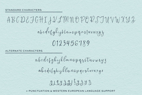 Catalunya Script Font Beck McCormick 