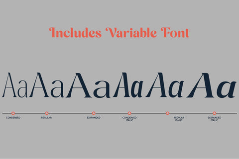Cavellis Font Zane Studio55 