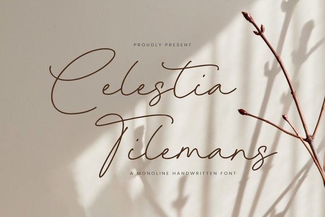 Celestia Tilemans - Monoline Handwritten Font Font Timur type 