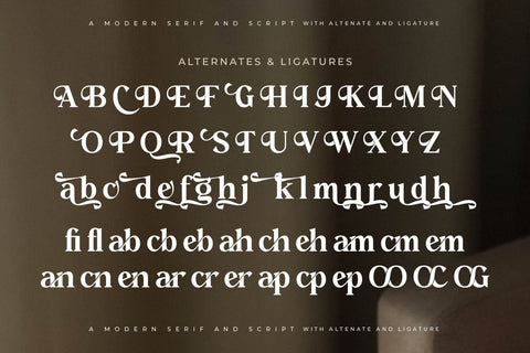 Celestial Heavenly Font Duo Font Storytype Studio 