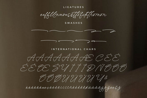 Celestial Heavenly Font Duo Font Storytype Studio 