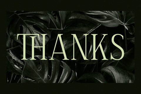 Celliqath Typeface Font Storytype Studio 