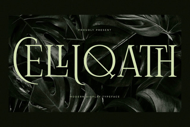 Celliqath Typeface Font Storytype Studio 