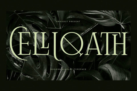 Celliqath Typeface Font Storytype Studio 