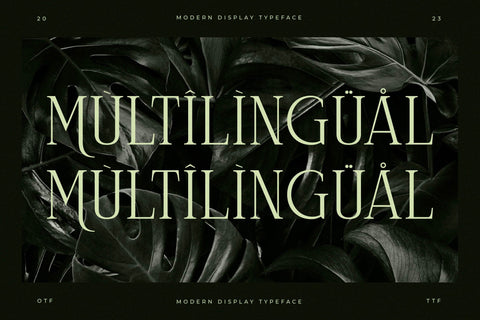 Celliqath Typeface Font Storytype Studio 