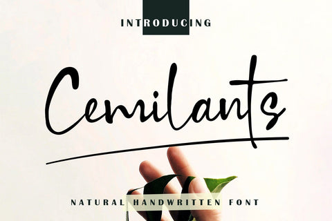 Cemilants Font Sulthan studio 