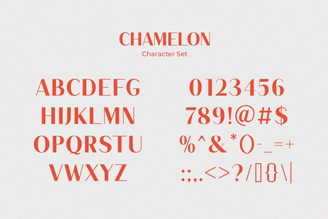 Chamelon - Modern Elegant Sans Serif Font studioalmeera 