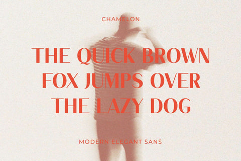 Chamelon - Modern Elegant Sans Serif Font studioalmeera 