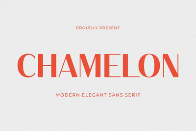 Chamelon - Modern Elegant Sans Serif Font studioalmeera 