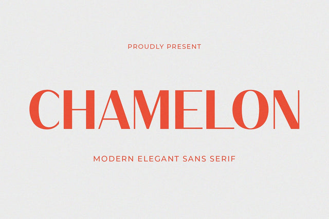 Chamelon - Modern Elegant Sans Serif Font studioalmeera 