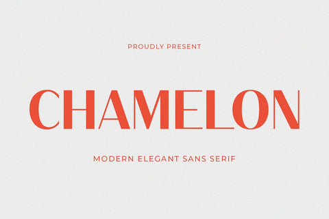 Chamelon - Modern Elegant Sans Serif Font studioalmeera 