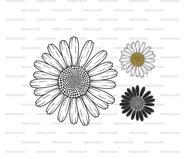Chamomile SVG TribaliumArtSF 